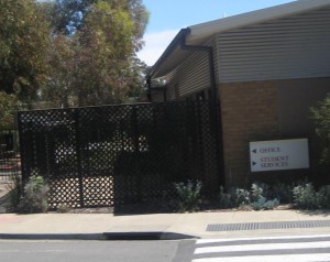 Clothesline Yard 1